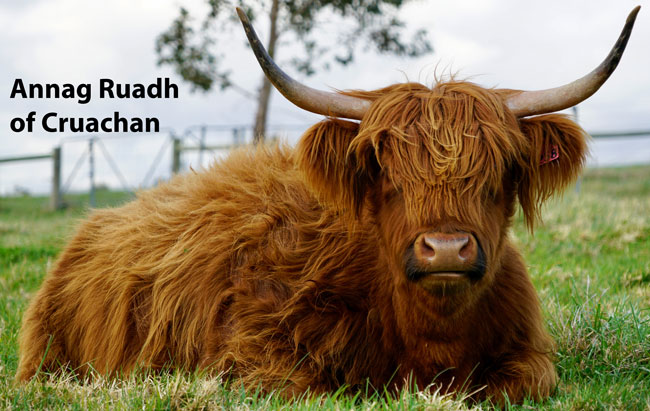 Annag Ruadh of Cruachan
