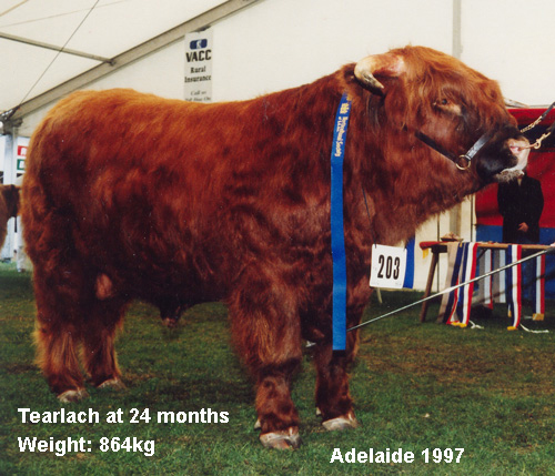 Tearlach (Charlie) Adelaide 1997