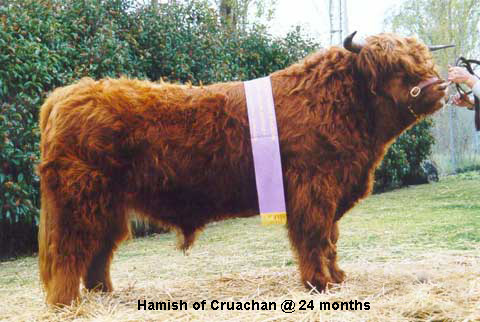 Hamish Of Cruachan, sired by James