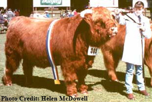 James at Adelaide Show with Shannyn