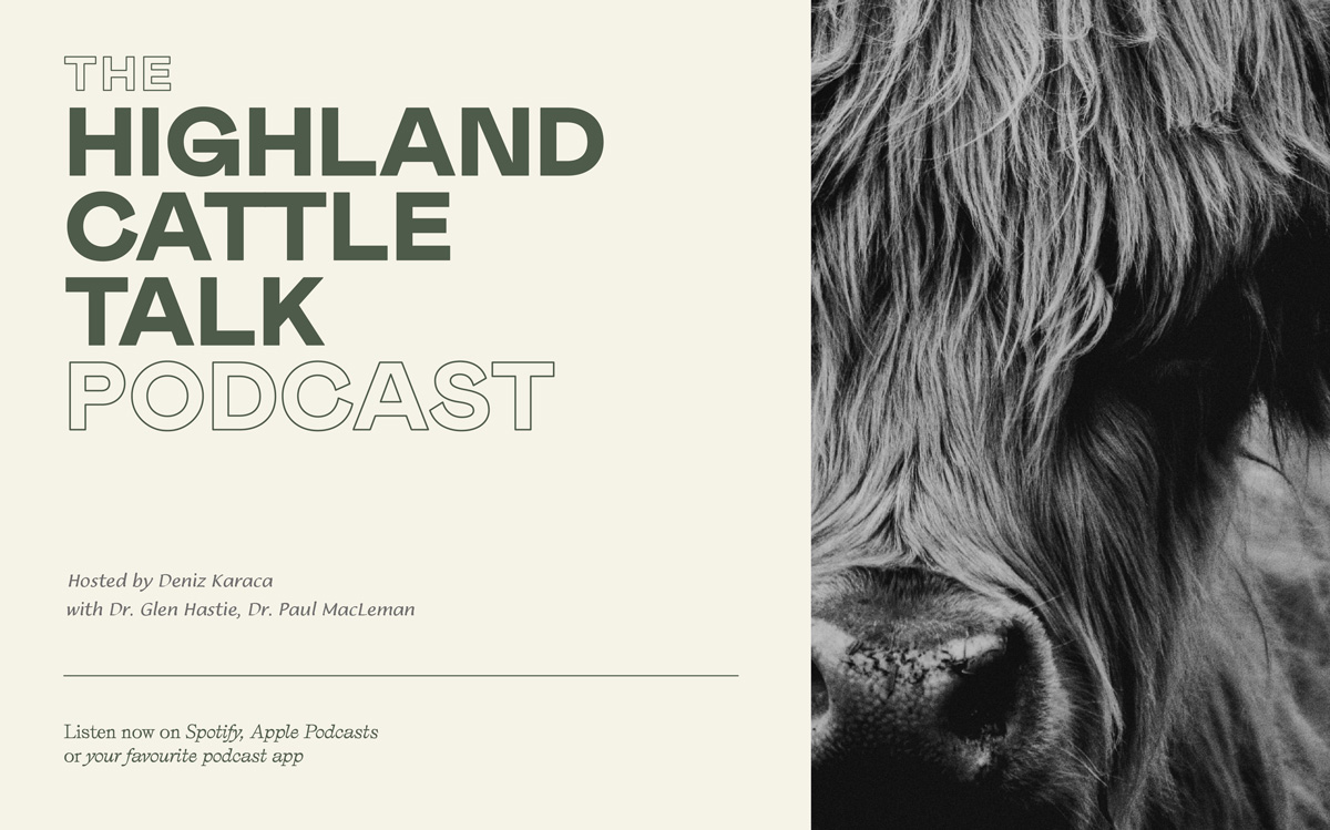 Highland Cattle Talk Podcast Logo