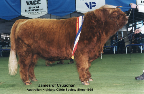 James in 1995